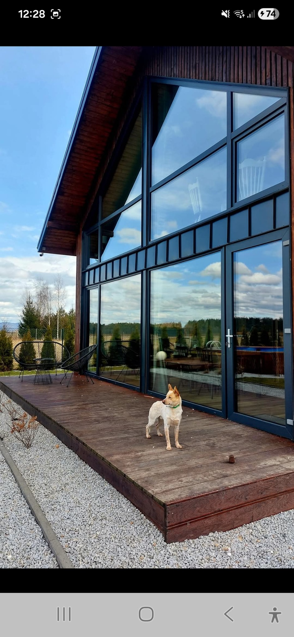 Nowoczesny dom szkieletowy z dużymi oknami i drewnianym wykończeniem. Na tarasie pies rasy mieszanej. W tle widok na zalesiony teren i błękitne niebo.
