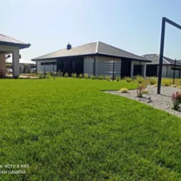 Świeżo założony trawnik z rolki przed nowoczesnym domem jednorodzinnym, widoczne obrzeża trawnika i rabaty wysypane drobnym żwirem, w tle kolejne domy.