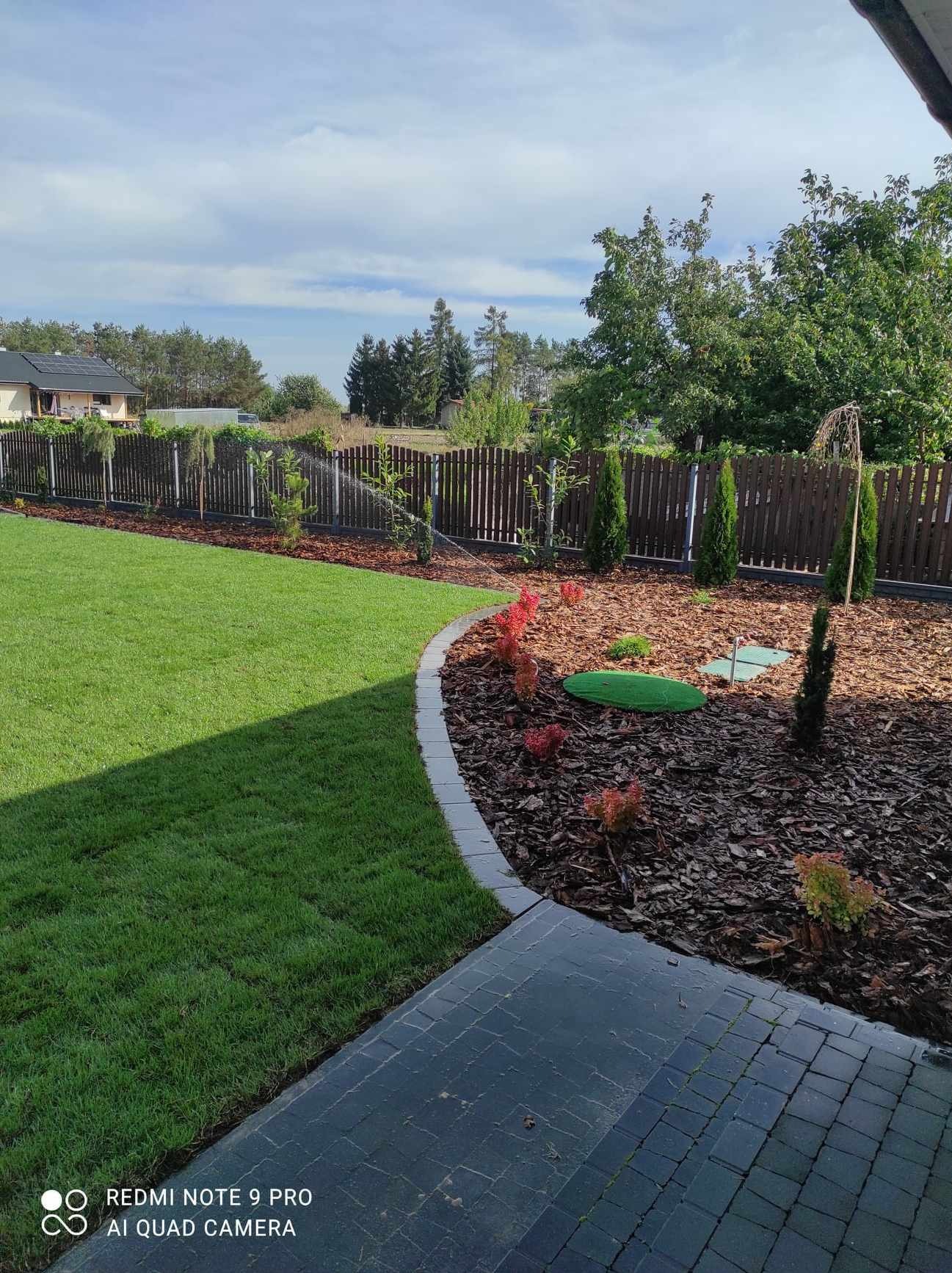 Świeżo założony trawnik z rolki, obrzeża z kostki, rabata wysypana korą z nasadzeniami iglaków i krzewów liściastych, w tle drewniany płot i zraszacze.