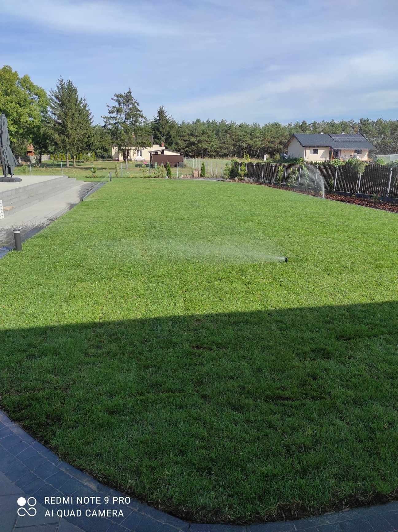 Rozległy trawnik z rolki, nawadniany przez zraszacze; w tle domy jednorodzinne i las.