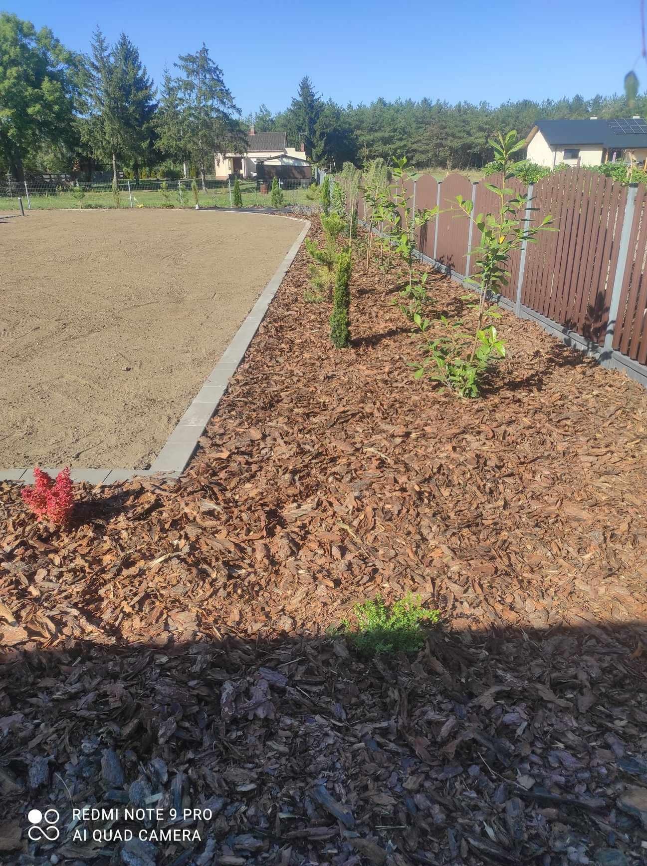 Przygotowany teren pod trawnik z obrzeżem i świeżo posadzone drzewka wzdłuż ogrodzenia, obsypane korą.