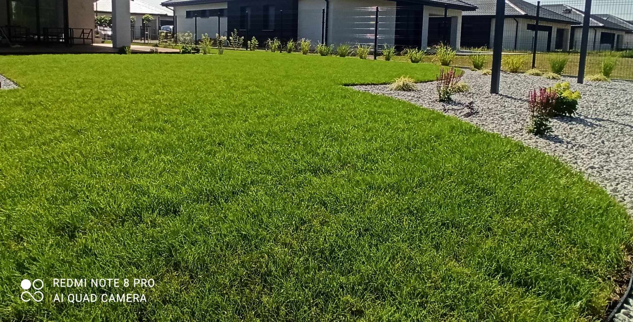 Rozległy trawnik z rolki, świeżo ułożony, z widocznymi rabatami z białego grysu i nasadzeniami w tle, na tle nowoczesnej zabudowy jednorodzinnej.