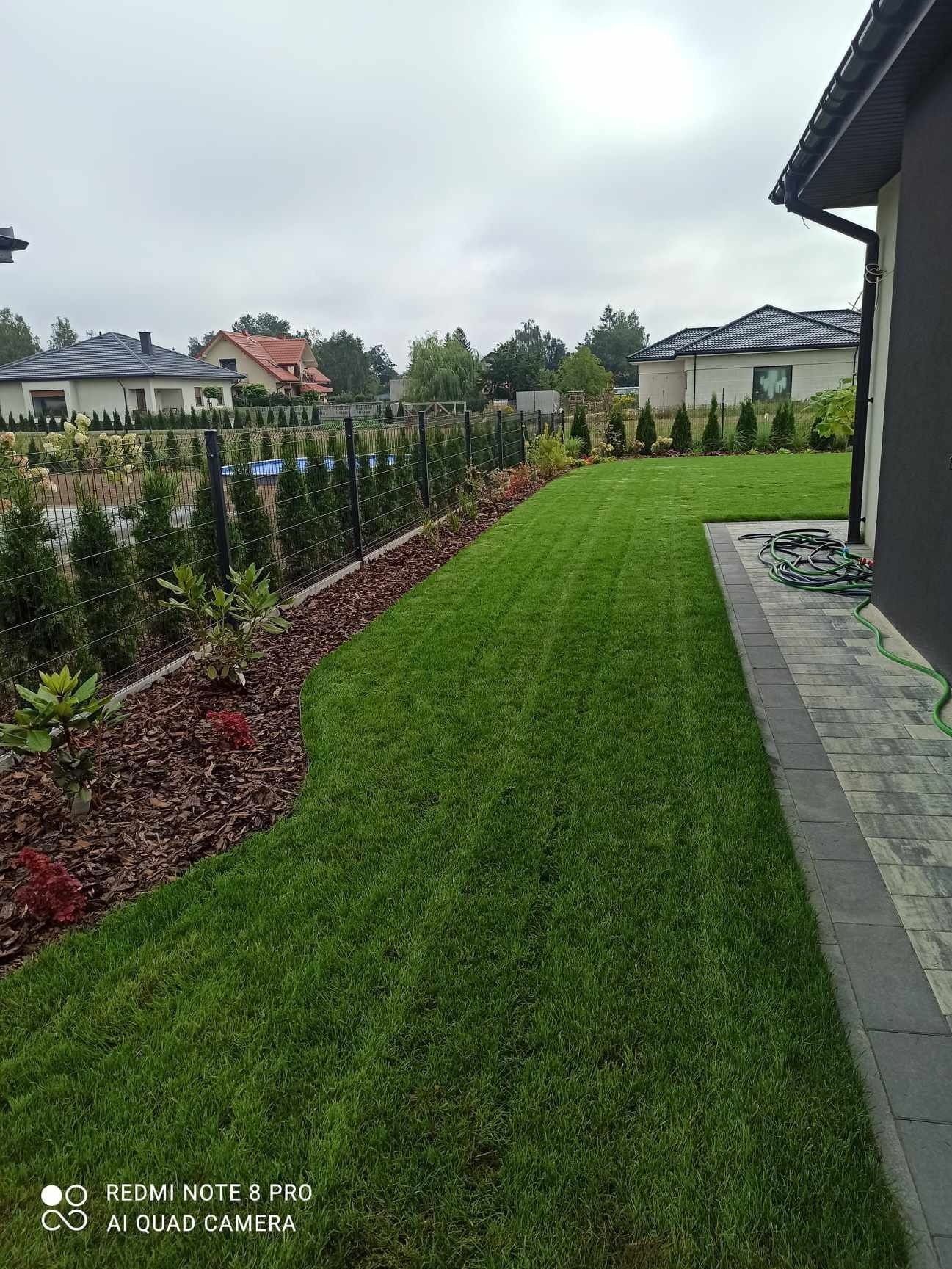 Świeżo skoszony trawnik przylegający do domu, z obrzeżem z kostki brukowej i rabatą z krzewami ozdobnymi i korą, ogrodzony siatką.