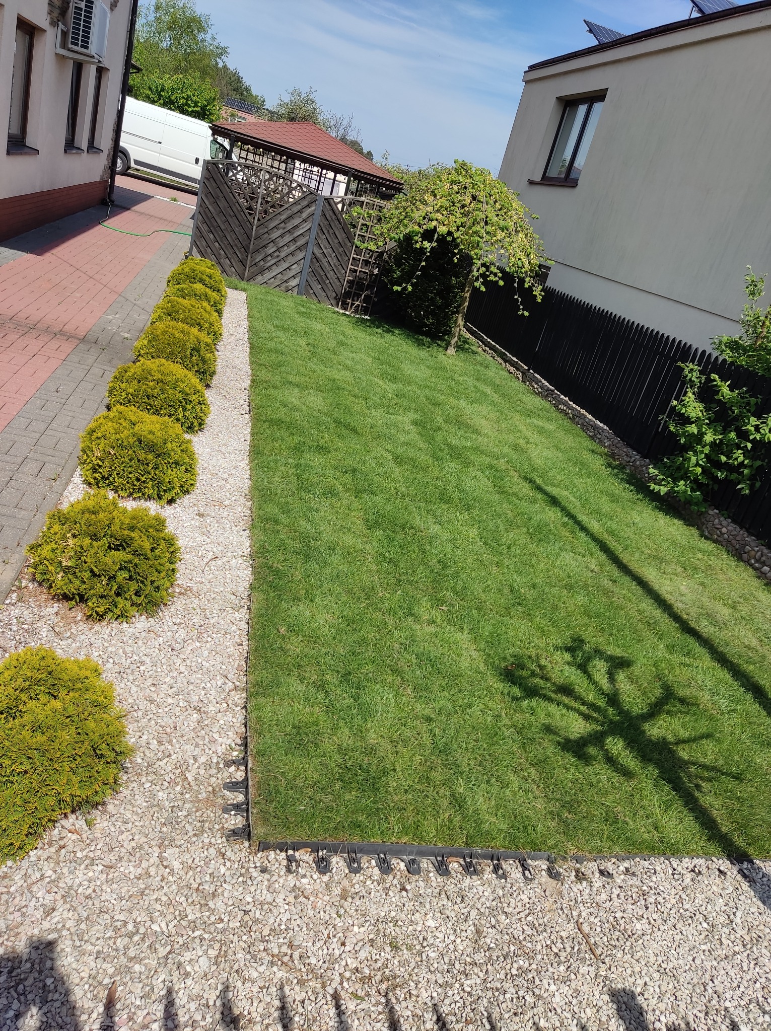 Starannie utrzymany trawnik z równo przystrzyżoną trawą, obrzeżem z białego grysu i rzędem kulistych krzewów wzdłuż chodnika z kostki brukowej, w tle budynki mieszkalne i drewniana altana.