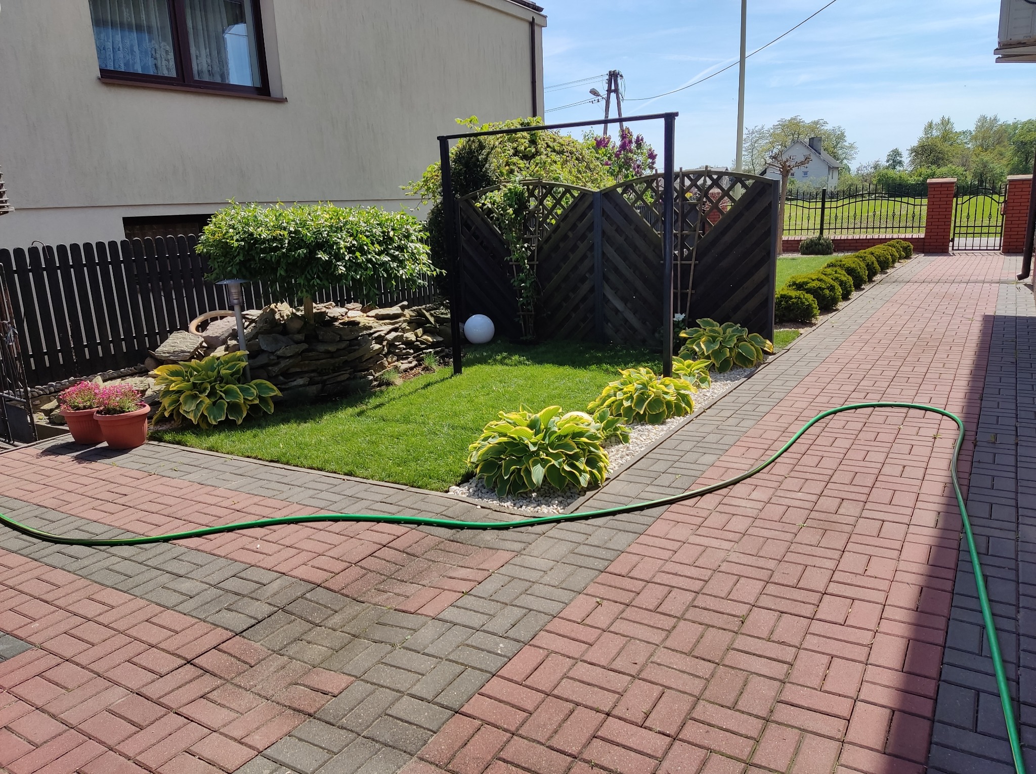 Uporządkowany ogród z trawnikiem, rabatami host, kamienną kaskadą, drewnianą pergolą i zielonym wężem ogrodowym na kostce brukowej.