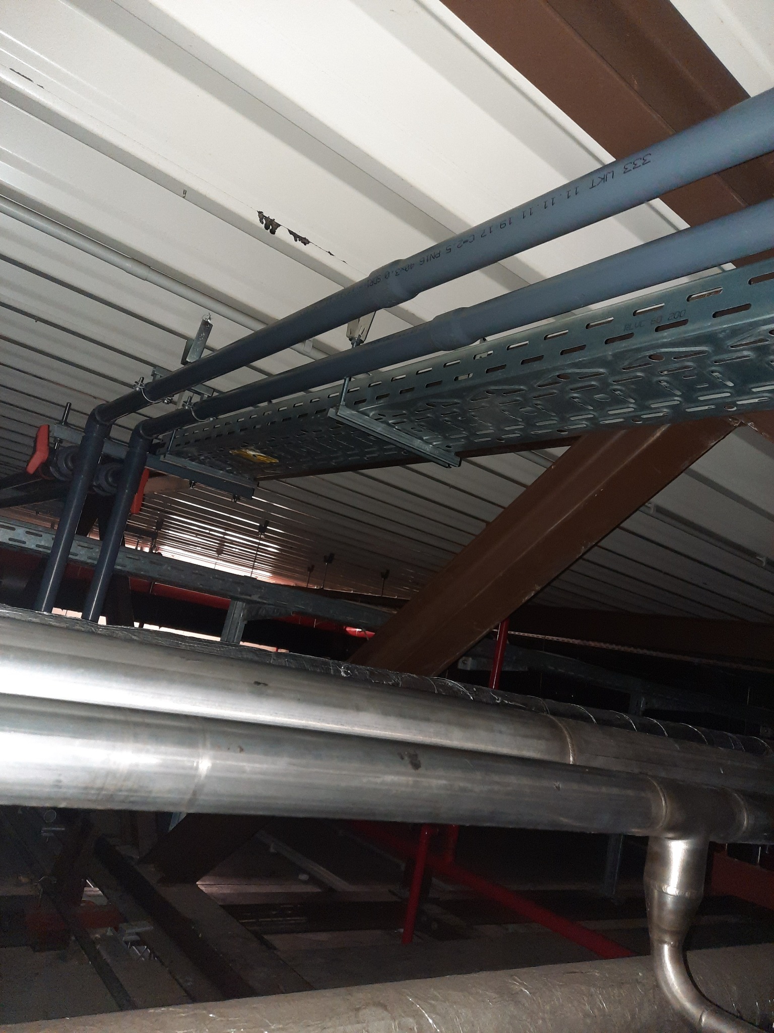 Widok z dołu na sufit hali przemysłowej z widocznymi przewodami elektrycznymi w szarych rurach PCV, metalowymi korytkami kablowymi, rurami instalacji przemysłowej ze stali nierdzewnej i elementami...