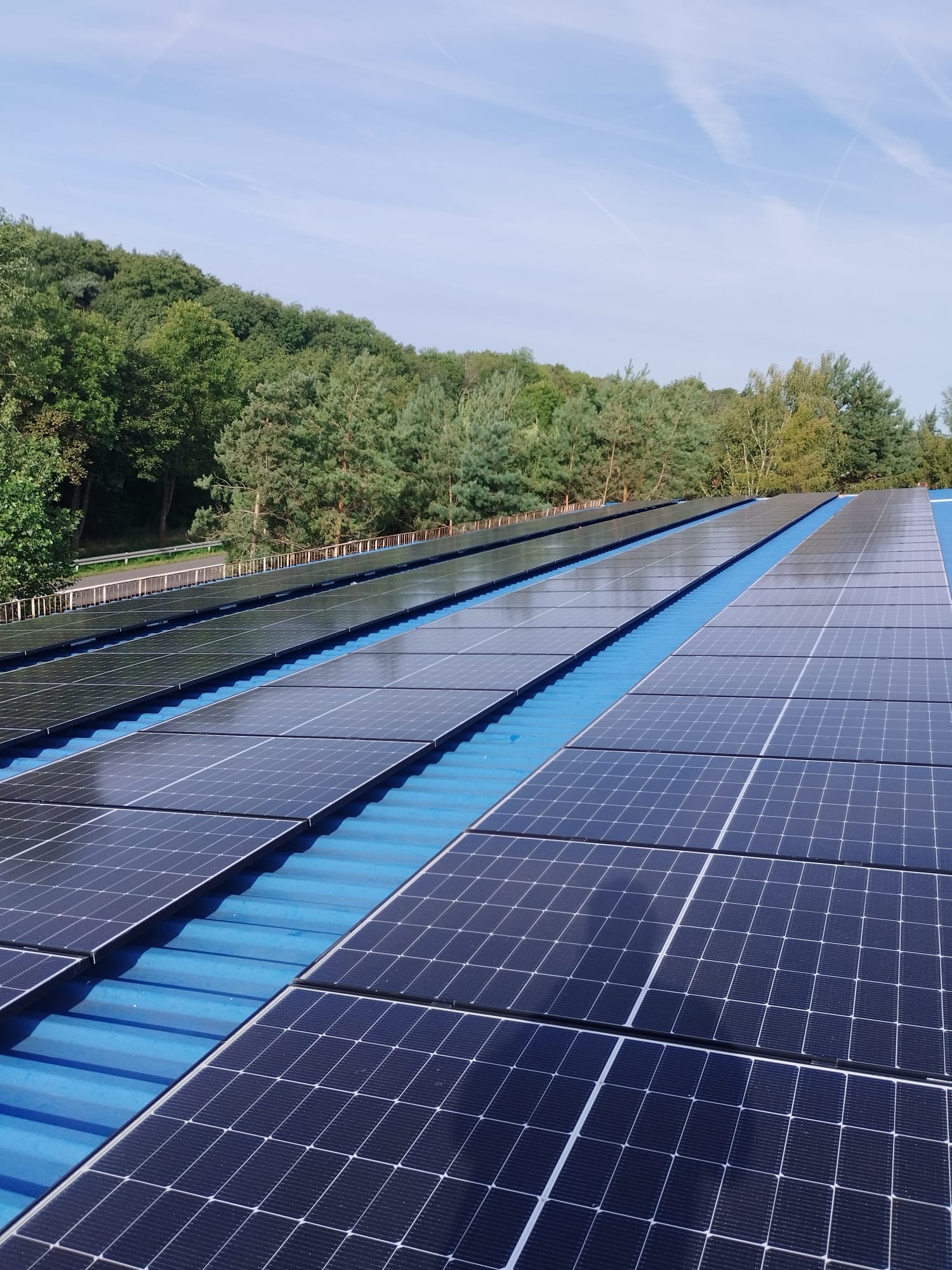 Rzędy paneli słonecznych na niebieskim dachu z blachy falistej, w tle drzewa i błękitne niebo z delikatnymi smugami kondensacyjnymi.