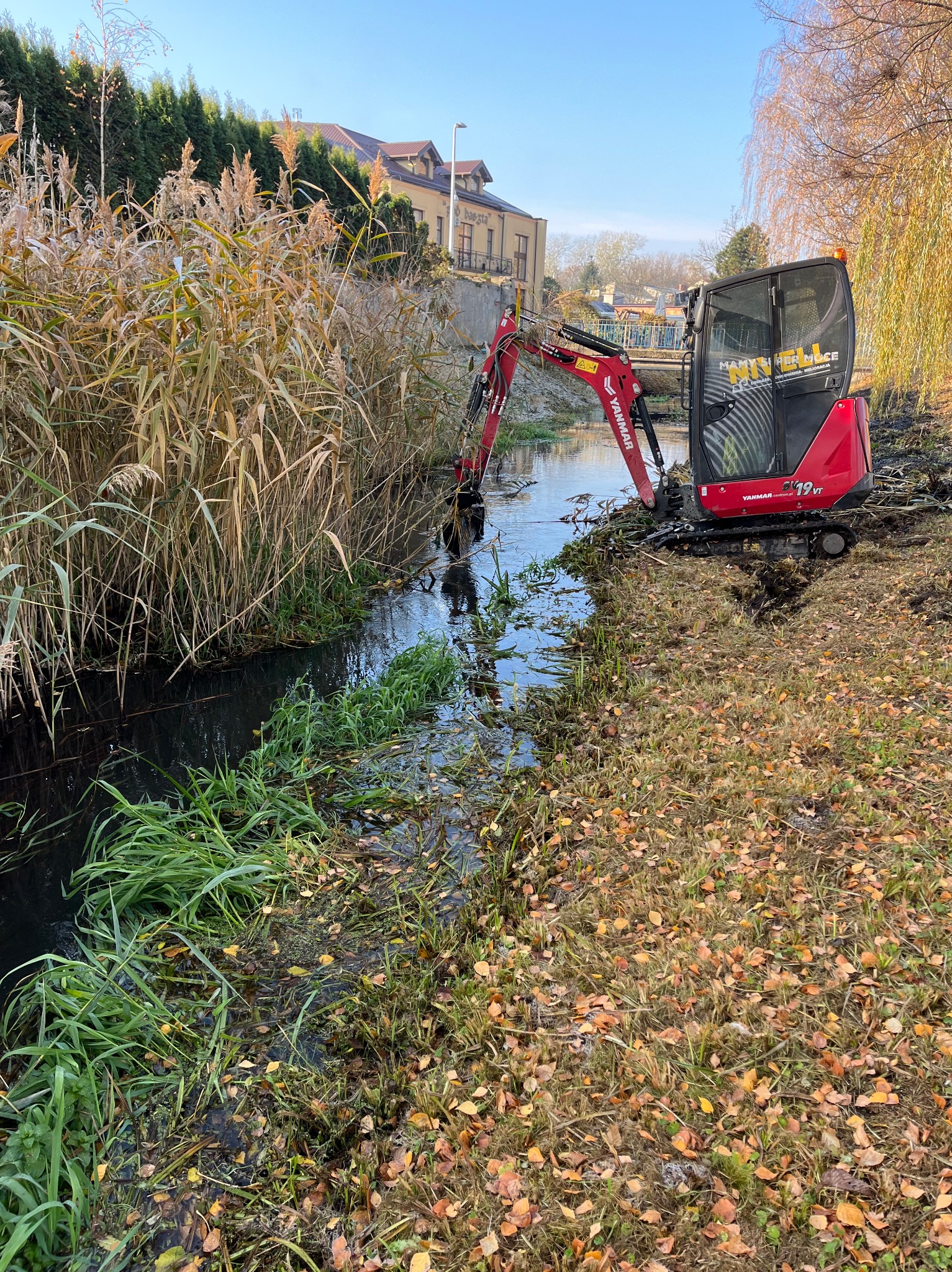 Czerwona mini-koparka Yanmar 19VT w trakcie czyszczenia zarośniętego rowu melioracyjnego z trzcin i roślinności wodnej, z widocznym logo firmy na szybie kabiny.