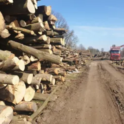 Stos pni drzew i gałęzi ułożony przy polnej drodze, w tle czerwona ciężarówka z dźwigiem i kolejne stosy drewna.