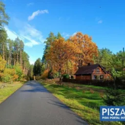 Urokliwy drewniany dom z brązowym dachem, otoczony jesiennym lasem, widoczny z asfaltowej drogi w słoneczny dzień.