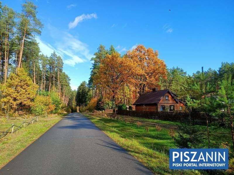 Urokliwy drewniany dom z brązowym dachem, otoczony jesiennym lasem, widoczny z asfaltowej drogi w słoneczny dzień.