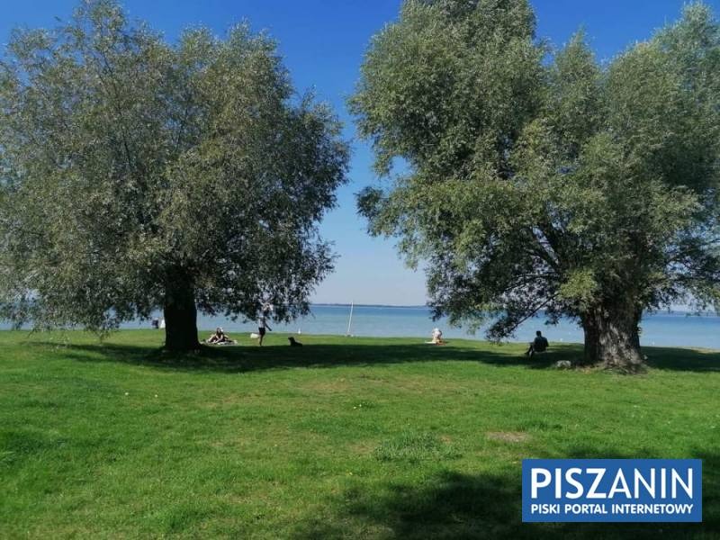 Letni krajobraz nad jeziorem z dwoma rozłożystymi drzewami, zielonym trawnikiem i osobami relaksującymi się na brzegu, w prawym dolnym rogu widoczne logo 'PISZANIN'