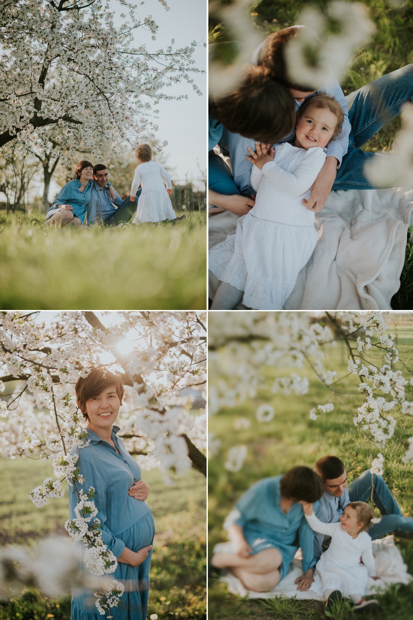 Kolaż z sesji rodzinnej w sadzie: Rodzice z córką siedzą na kocu w trawie pod kwitnącą jabłonią, uśmiechnięta przyszła mama w niebieskiej sukience pozuje na tle kwitnących gałęzi.