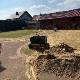 Regeneracja trawnika 