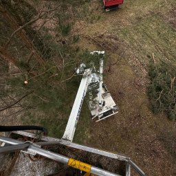 Zieleń Marzeń Martin Drogosz - Wycinka drzew z podnośnika: widok z góry na platformę, ścięte gałęzie i pniak. Czerwona przyczepka z gałęziami w tle. Ujęcie z góry, z platformy roboczej.