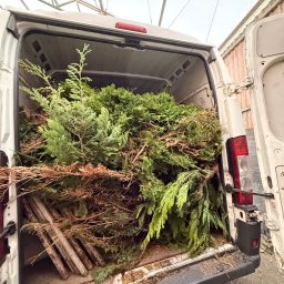 Zieleń Marzeń Martin Drogosz - Wywóz i utylizacja frakcji zielonych