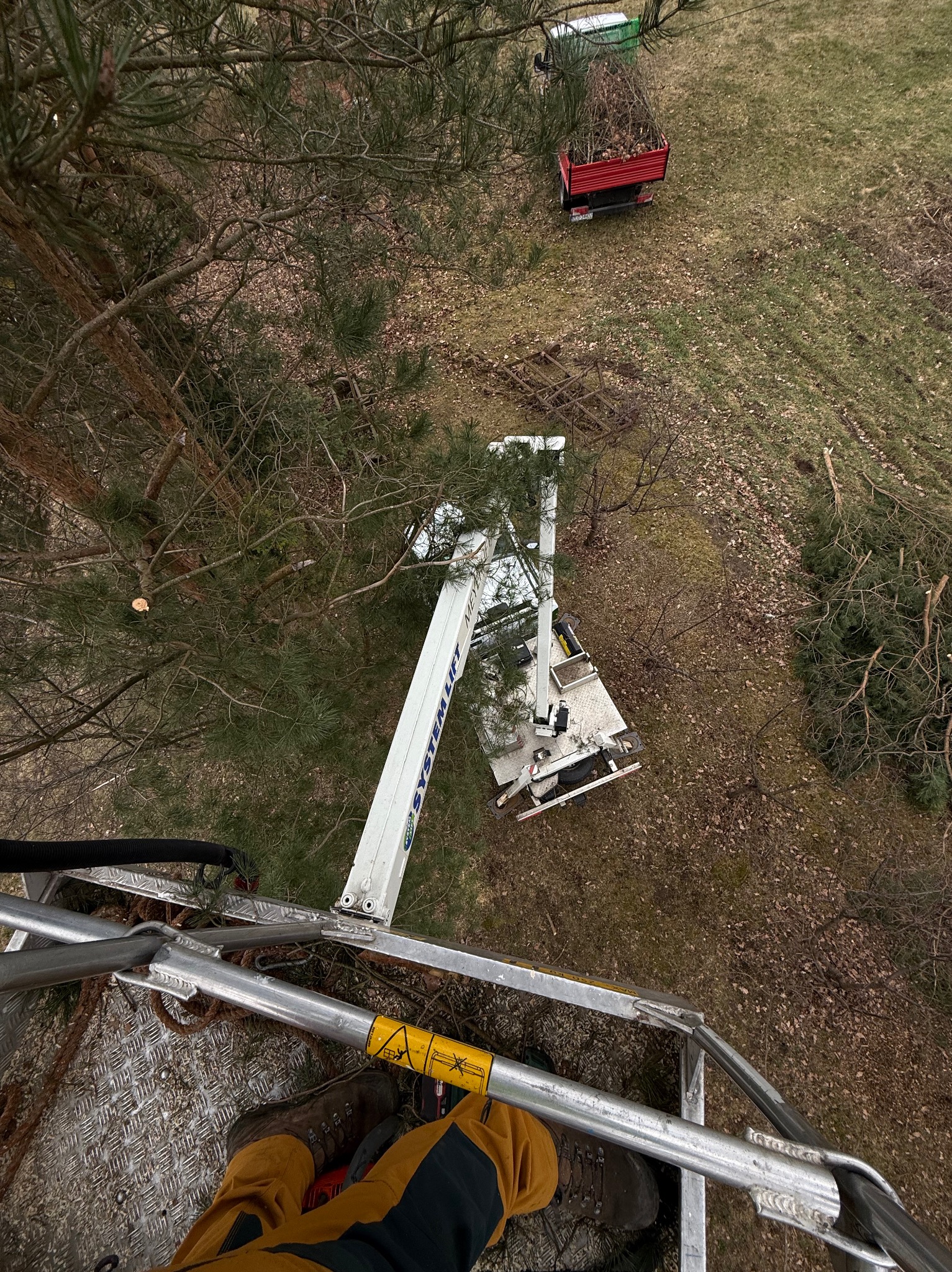 Wycinka drzew z podnośnika: widok z góry na platformę, ścięte gałęzie i pniak. Czerwona przyczepka z gałęziami w tle. Ujęcie z góry, z platformy roboczej.
