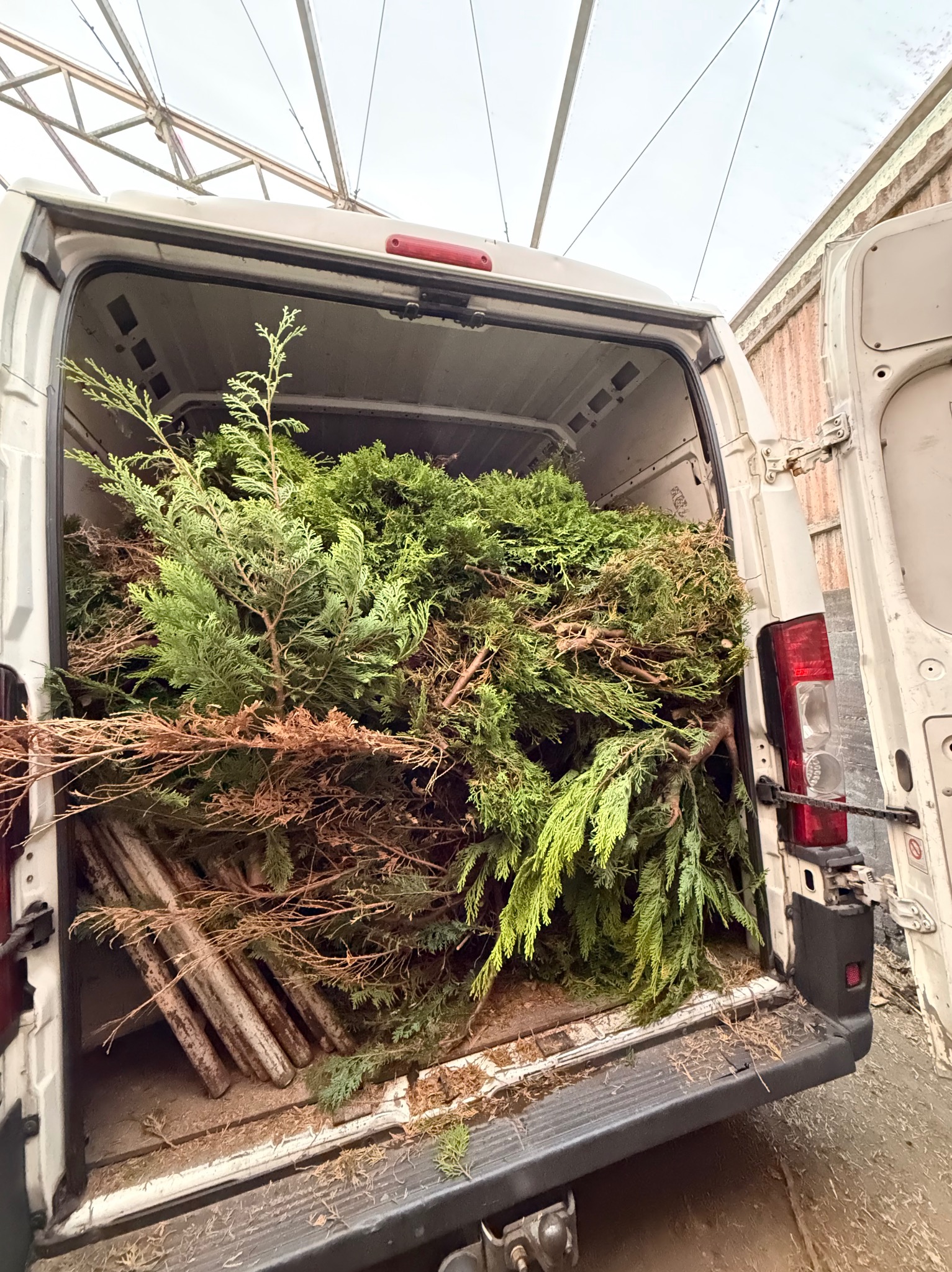 Wywóz i utylizacja frakcji zielonych