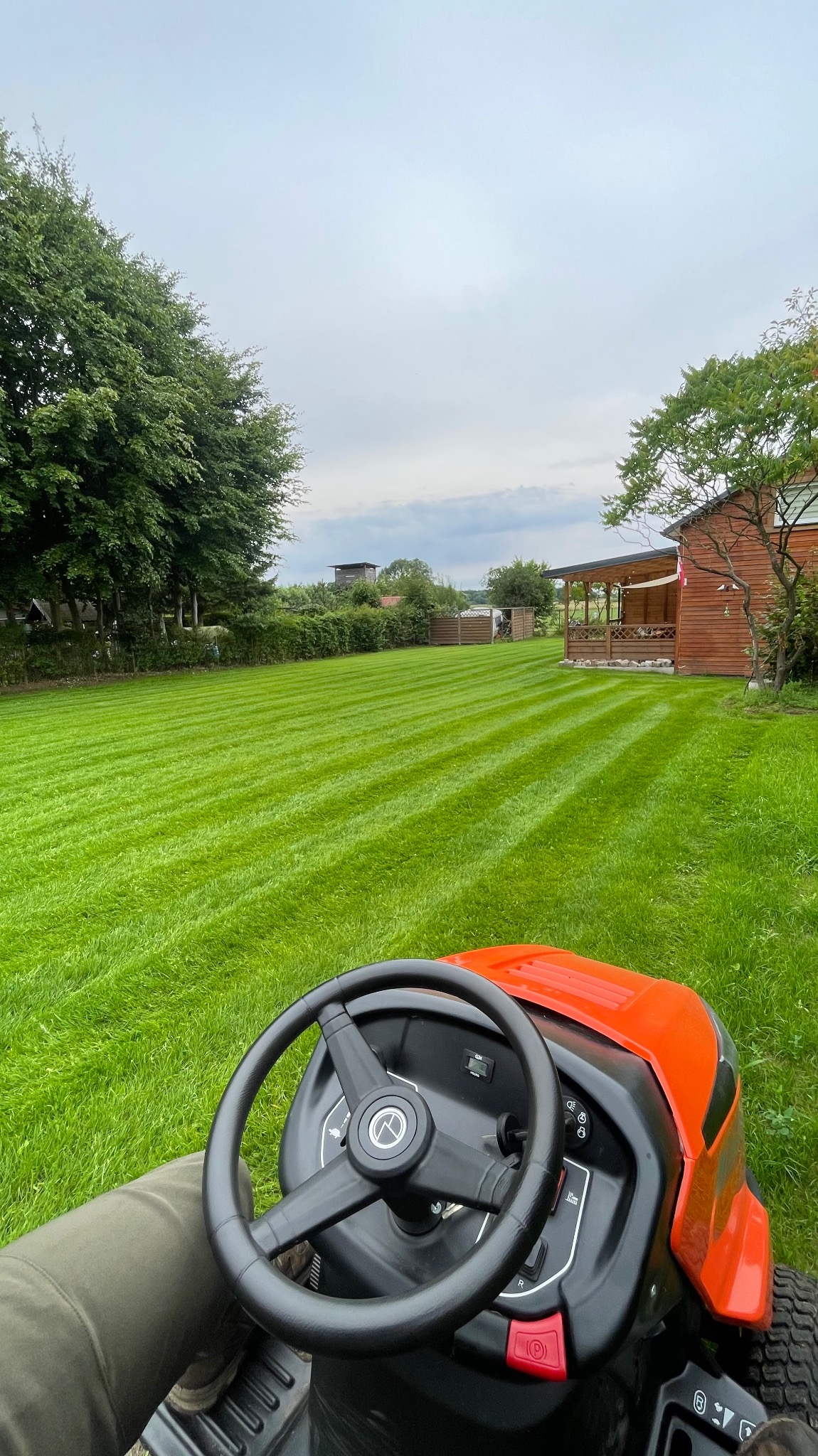 Zakładanie trawników