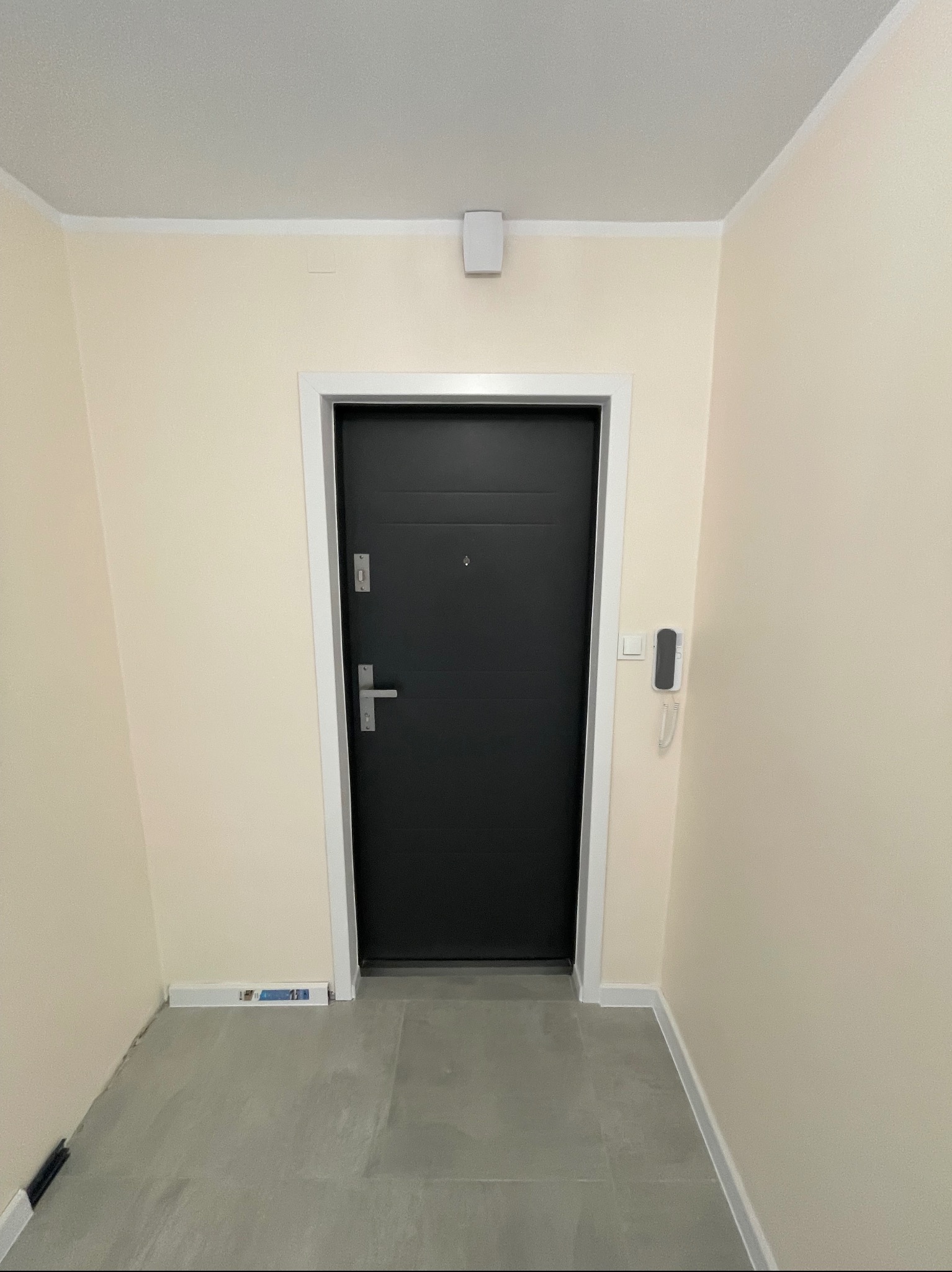 Ciemne drzwi wejściowe z srebrną klamką i wizjerem, osadzone w białej futrynie na tle beżowej ściany i szarej podłogi z płytkami w korytarzu.