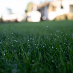 Układanie kostki brukowej Chojnice 3