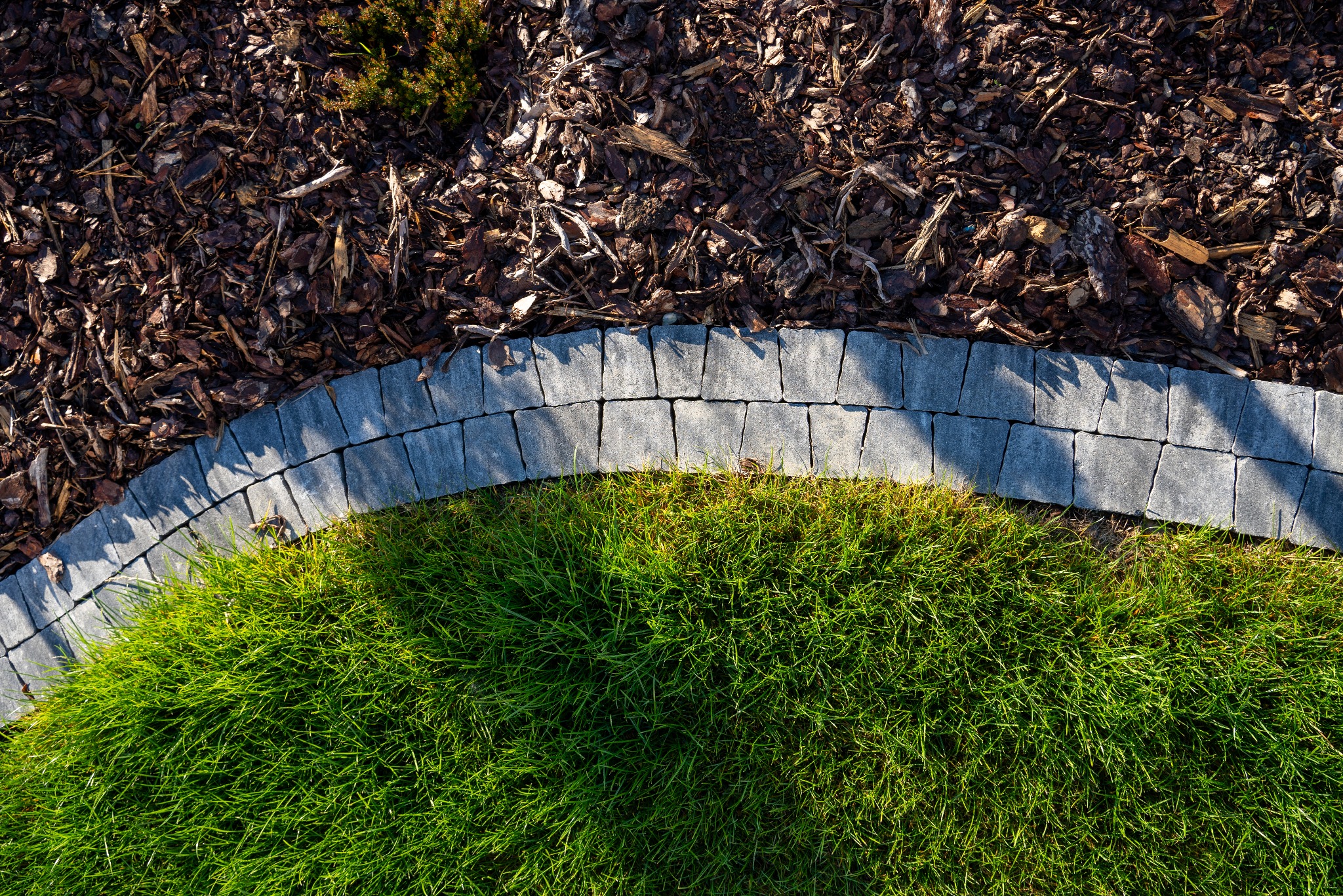 Widok z góry na obrzeże z szarej kostki oddzielające korę drzewną od soczystej zielonej trawy, tworzące łagodny łuk.