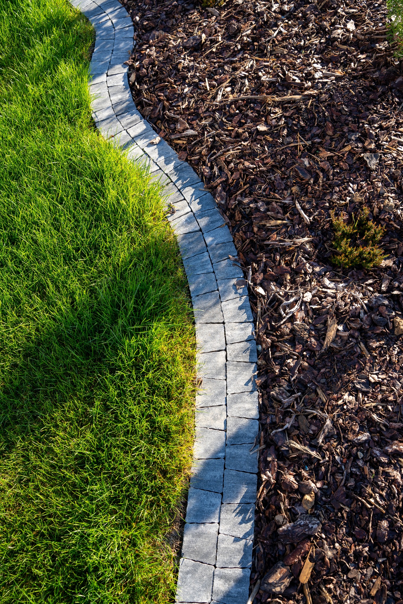 Krawężnik z szarej kostki oddzielający trawnik od rabaty z korą i małą rośliną iglastą, widok z góry.
