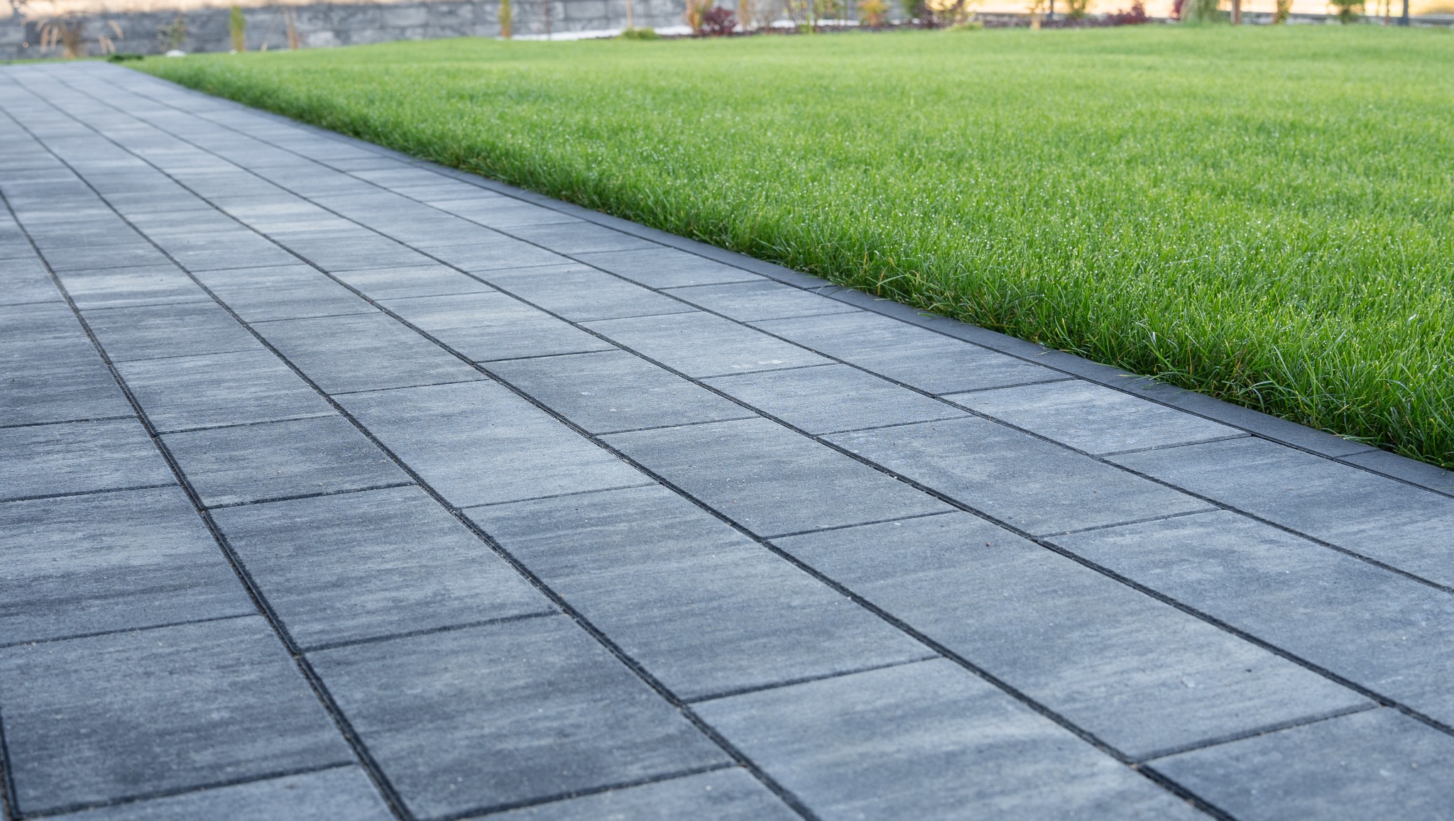 Ułożona, szara kostka brukowa w prostokątnym wzorze, przylegająca do zadbanego, zielonego trawnika z widocznymi kroplami wody.