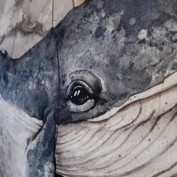 Malowanie mieszkań Łomża 2