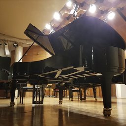 Firma Transportowa Warszawa 1