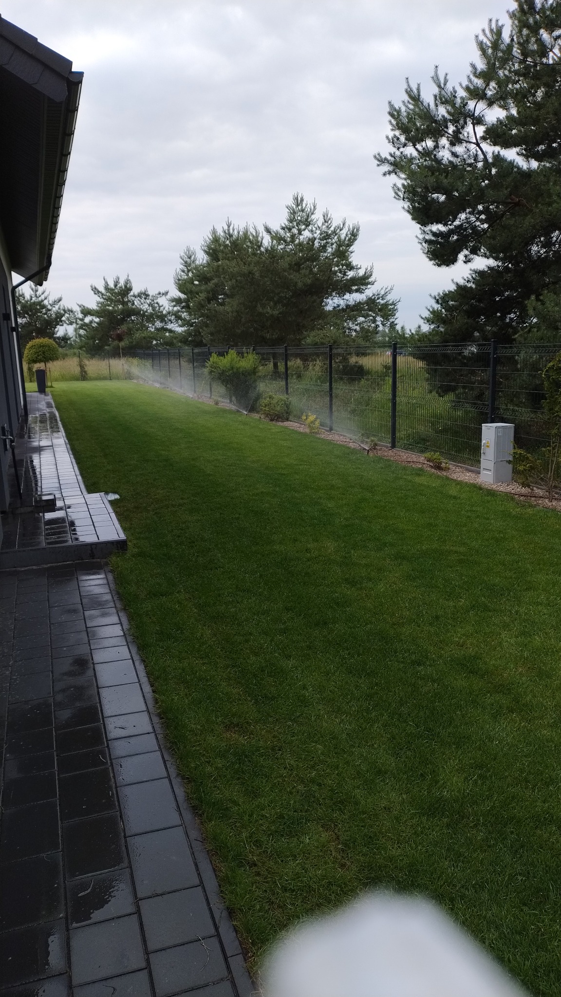 Automatyczne nawadnianie trawnika przy nowoczesnym domu z czarną kostką brukową, widoczne zraszacze w akcji, ogrodzenie panelowe w tle.