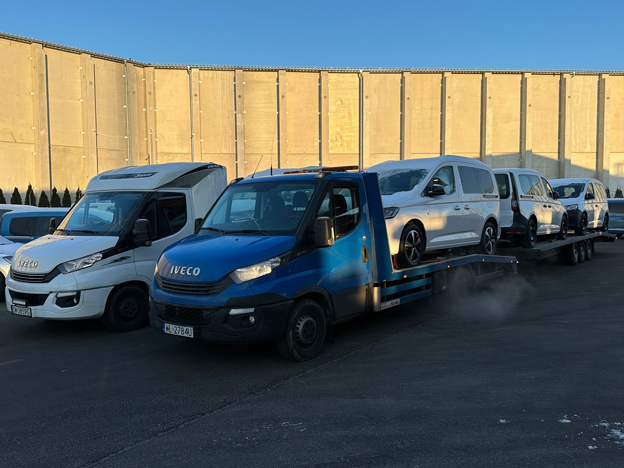 Niebieska laweta Iveco z trzema białymi samochodami typu van na platformie, zaparkowana obok białego dostawczaka Iveco na tle betonowego budynku w słoneczny dzień.