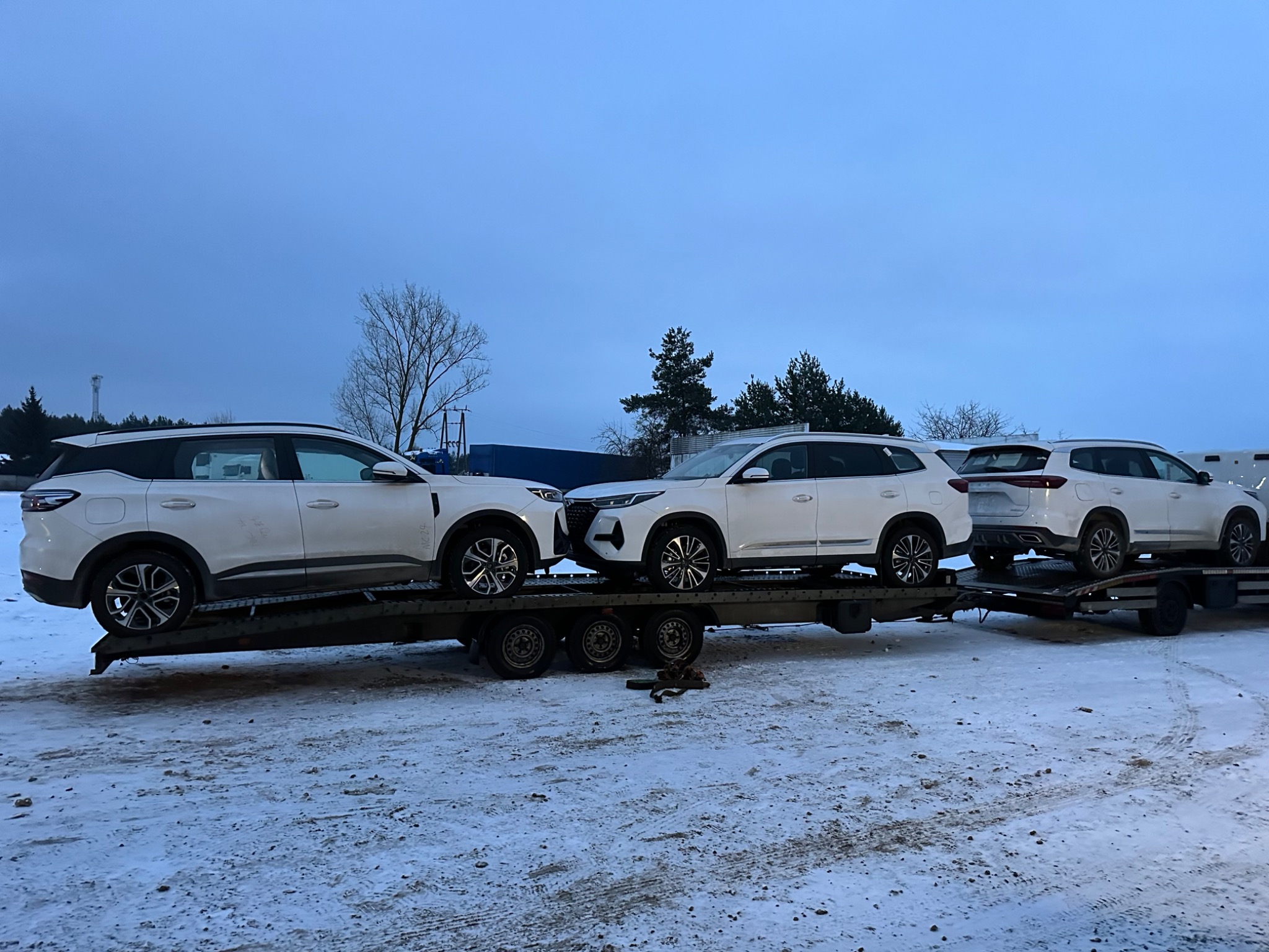 Laweta przewozi trzy białe samochody osobowe w Trzcianach, widoczne zimowe otoczenie i pochmurne niebo.