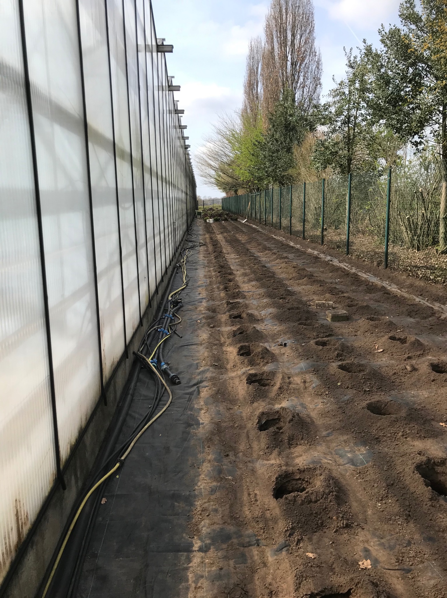 Przygotowane podłoże z nawodnieniem w szklarni, z widocznymi otworami pod sadzonki i systemem rur doprowadzających wodę.