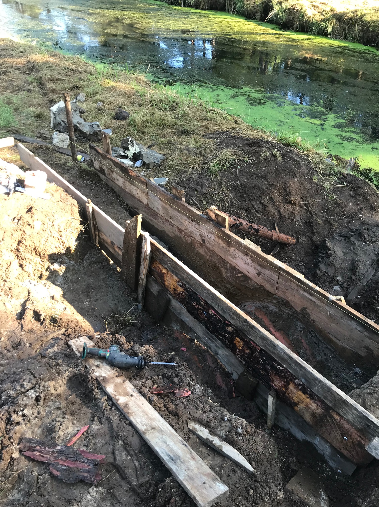 Budowa drewnianego koryta w ziemi przy brzegu zarośniętego stawu, widoczna piła szablasta i fragmenty drewna.
