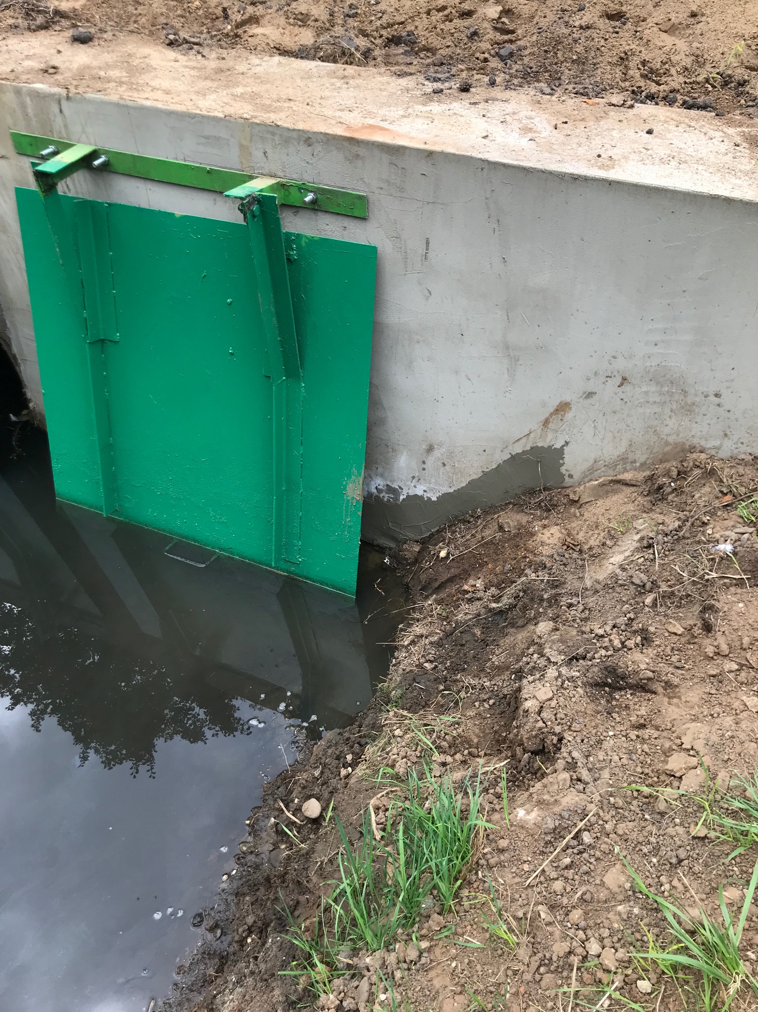 Zielona metalowa zasuwa regulująca przepływ wody w betonowym kanale melioracyjnym, częściowo zanurzona w wodzie, widoczne ślady świeżego betonu na styku z gruntem.