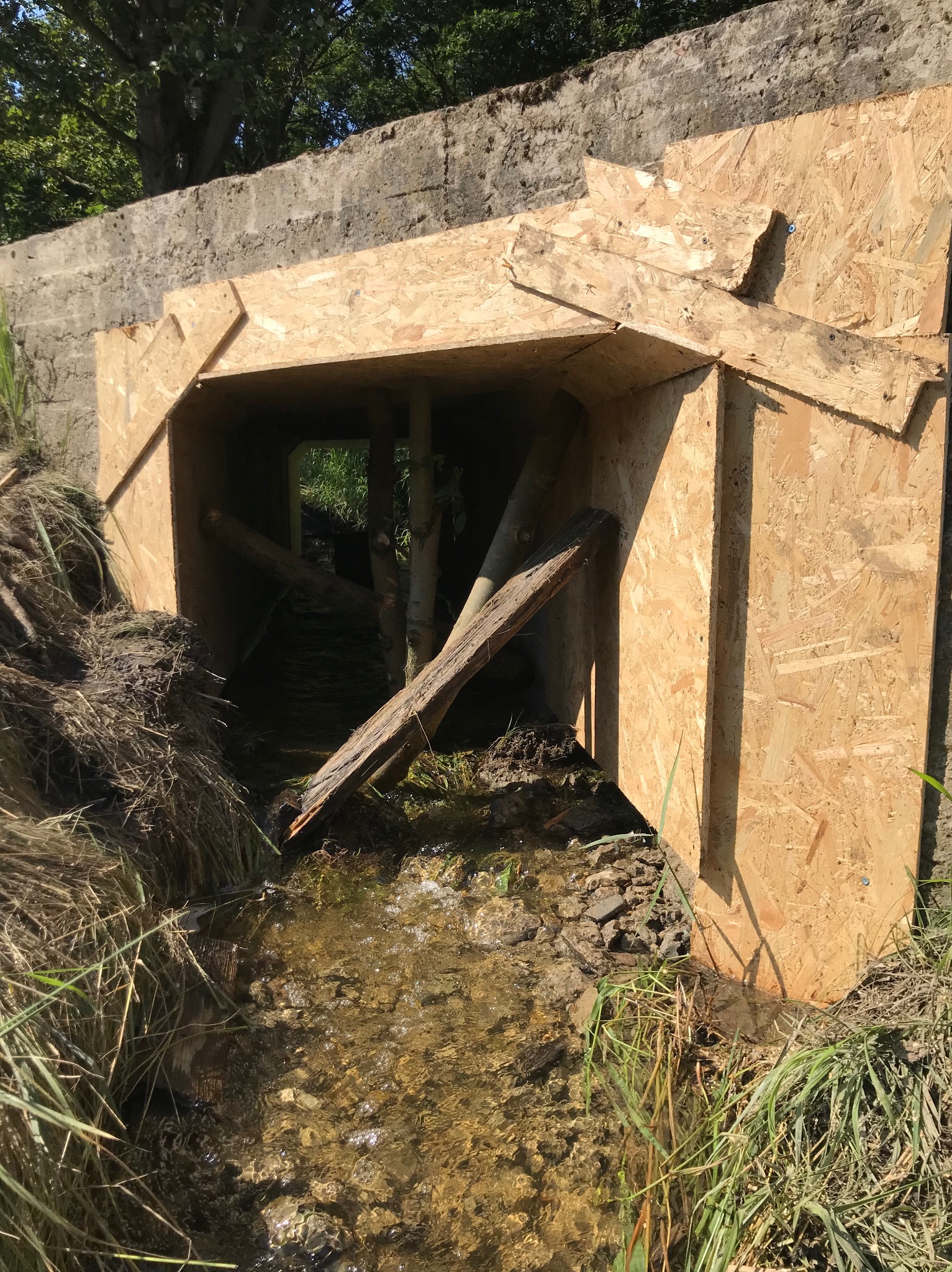 Tymczasowa konstrukcja z płyt OSB nad strumieniem, prawdopodobnie zabezpieczająca przepust pod drogą lub mostem, z widocznymi elementami podtrzymującymi z surowego drewna.