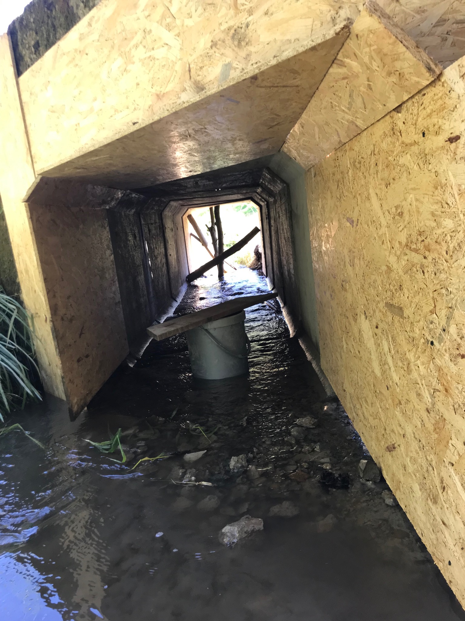 Tymczasowa konstrukcja z płyty OSB nad strumieniem, prawdopodobnie zabezpieczająca przed zawaleniem, z widocznym wiadrem i deską w wodzie.