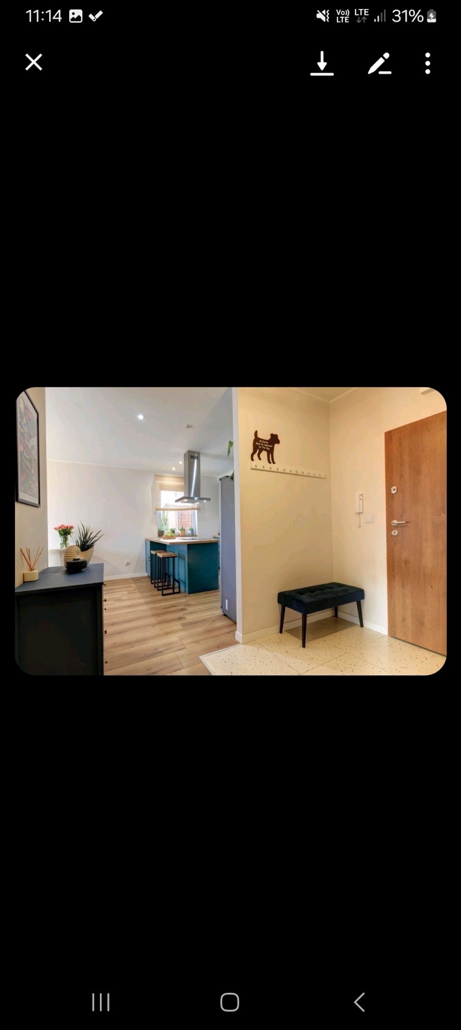 Nowoczesne wnętrze mieszkania z drewnianą podłogą, widok na kuchnię z wyspą w kolorze morskim oraz przedpokój z tapicerowaną ławeczką i dekoracją ścienną w kształcie psa.