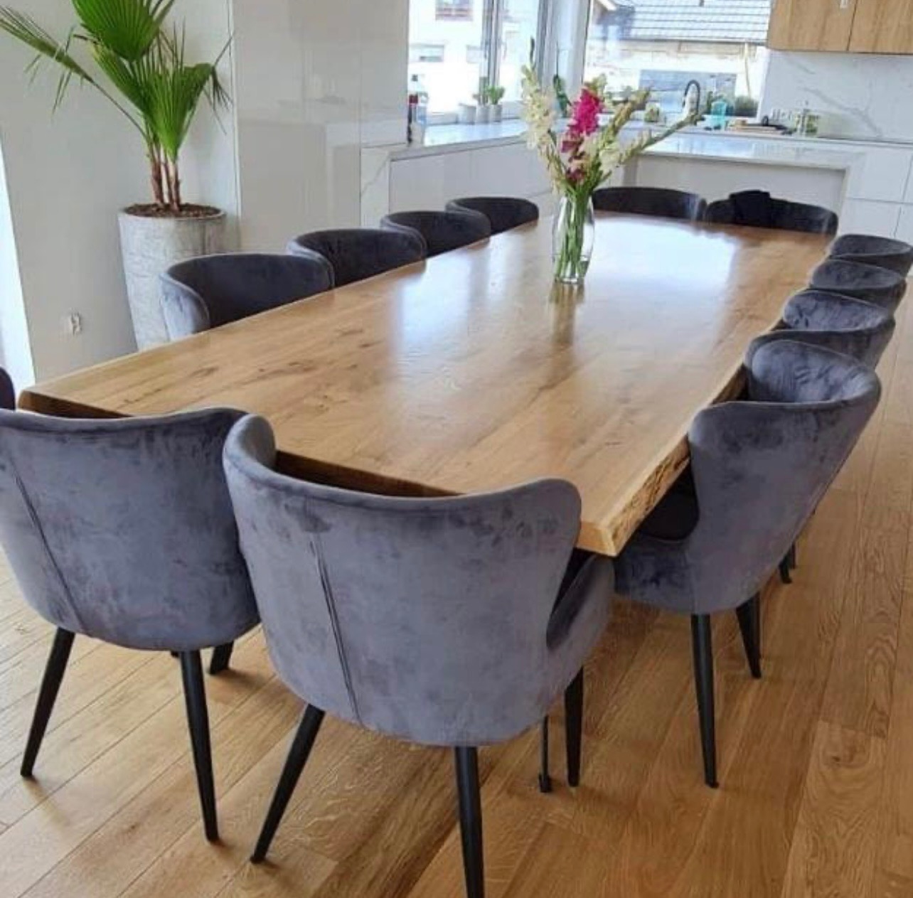 Długi, jasny stół z litego drewna z naturalną krawędzią, otoczony szarymi, welurowymi krzesłami z czarnymi nogami, na drewnianej podłodze; w tle widoczna kuchnia w jasnych kolorach i roślina...