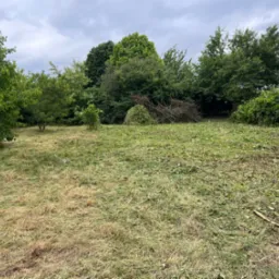 Trawa po koszeniu z widocznymi śladami cięcia i stertą gałęzi w tle, pod pochmurnym niebem.