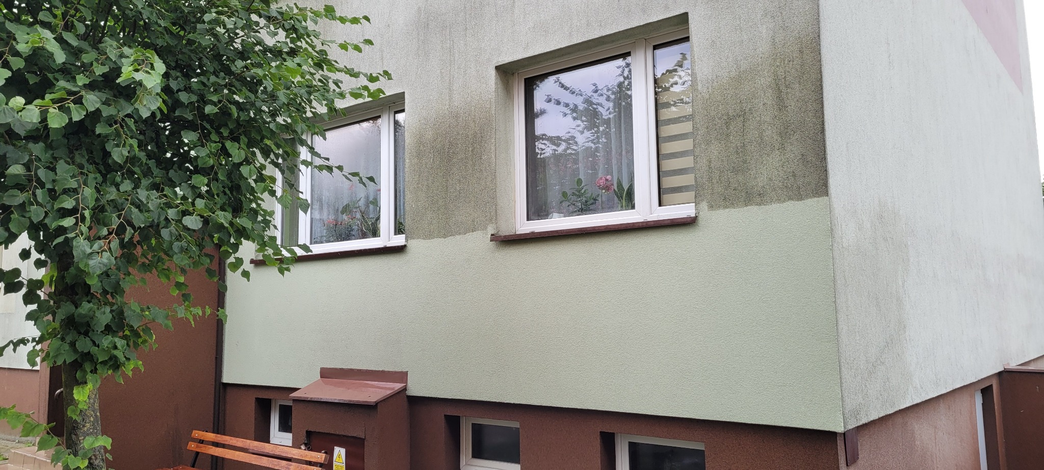Fragment elewacji budynku z widocznymi dwoma oknami, gdzie widać różnicę w kolorze pomiędzy umytą a nieumytą częścią ściany, z zielonym drzewem po lewej stronie.