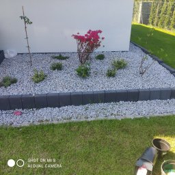 Zielony Kącik -miejsce pełne zieleni Przemysław Mendrok - Producent Trawy z Rolki Bielsko-Biała