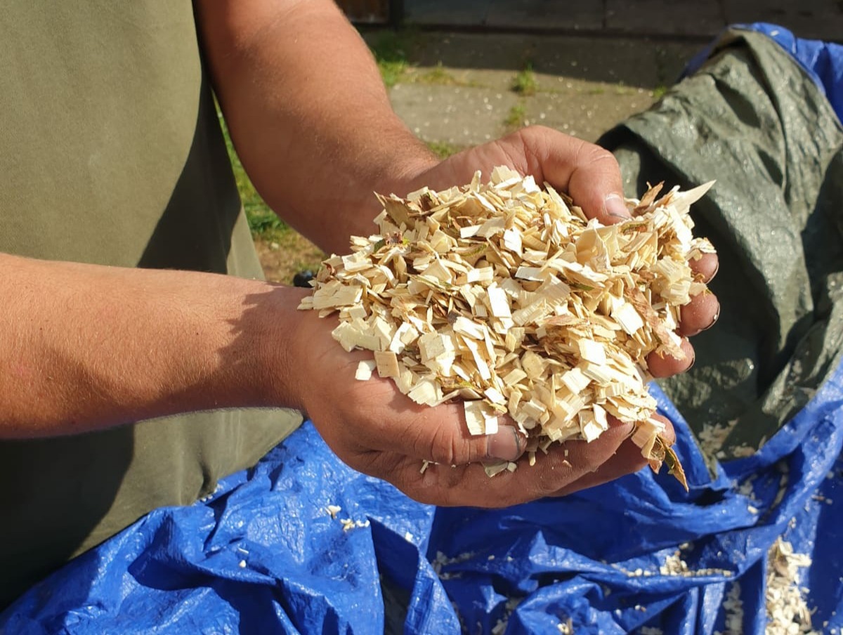 Mężczyzna trzyma w dłoniach świeże zrębki drzewne, na tle niebieskiej plandeki i zieleni.