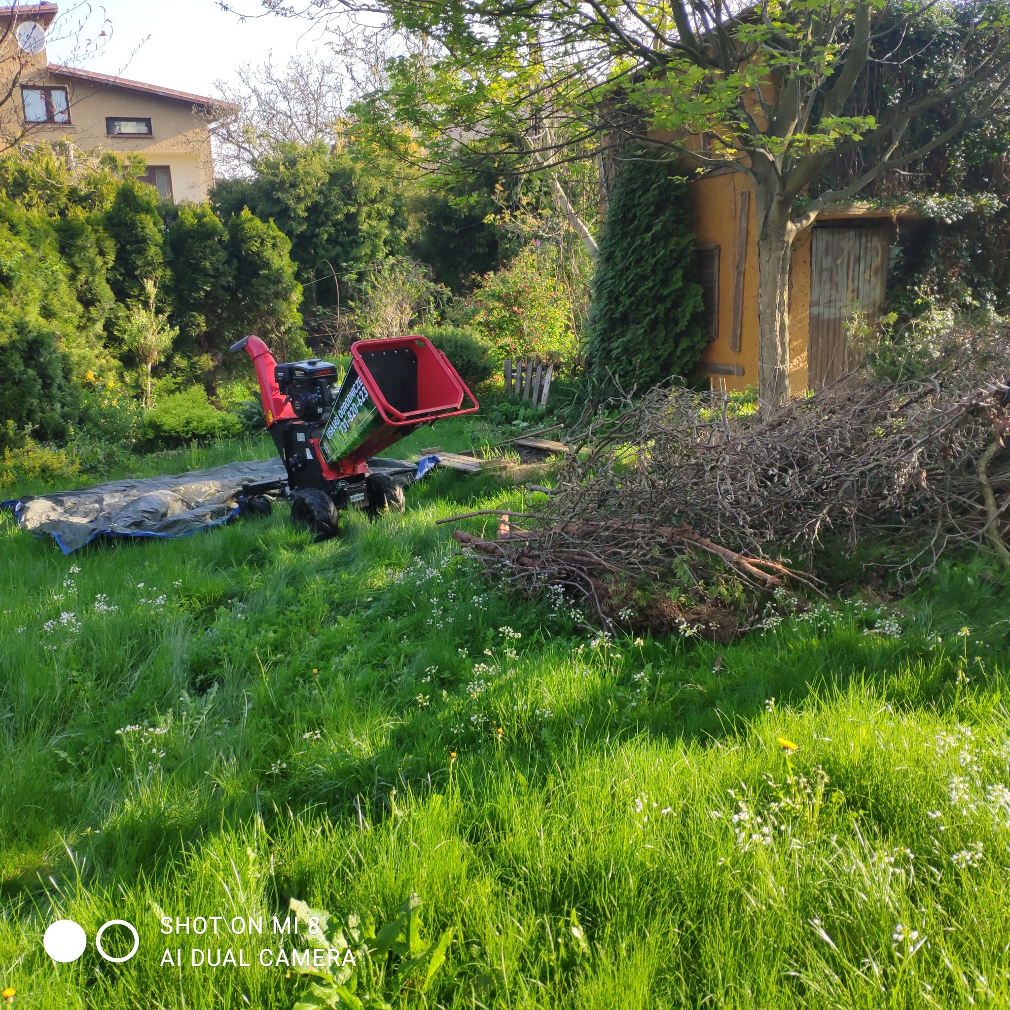 Czerwony rębak do gałęzi na trawie obok sterty gałęzi w ogrodzie, w tle budynek i zarośla. Usługi ogrodnicze, wycinka i pielęgnacja zieleni.