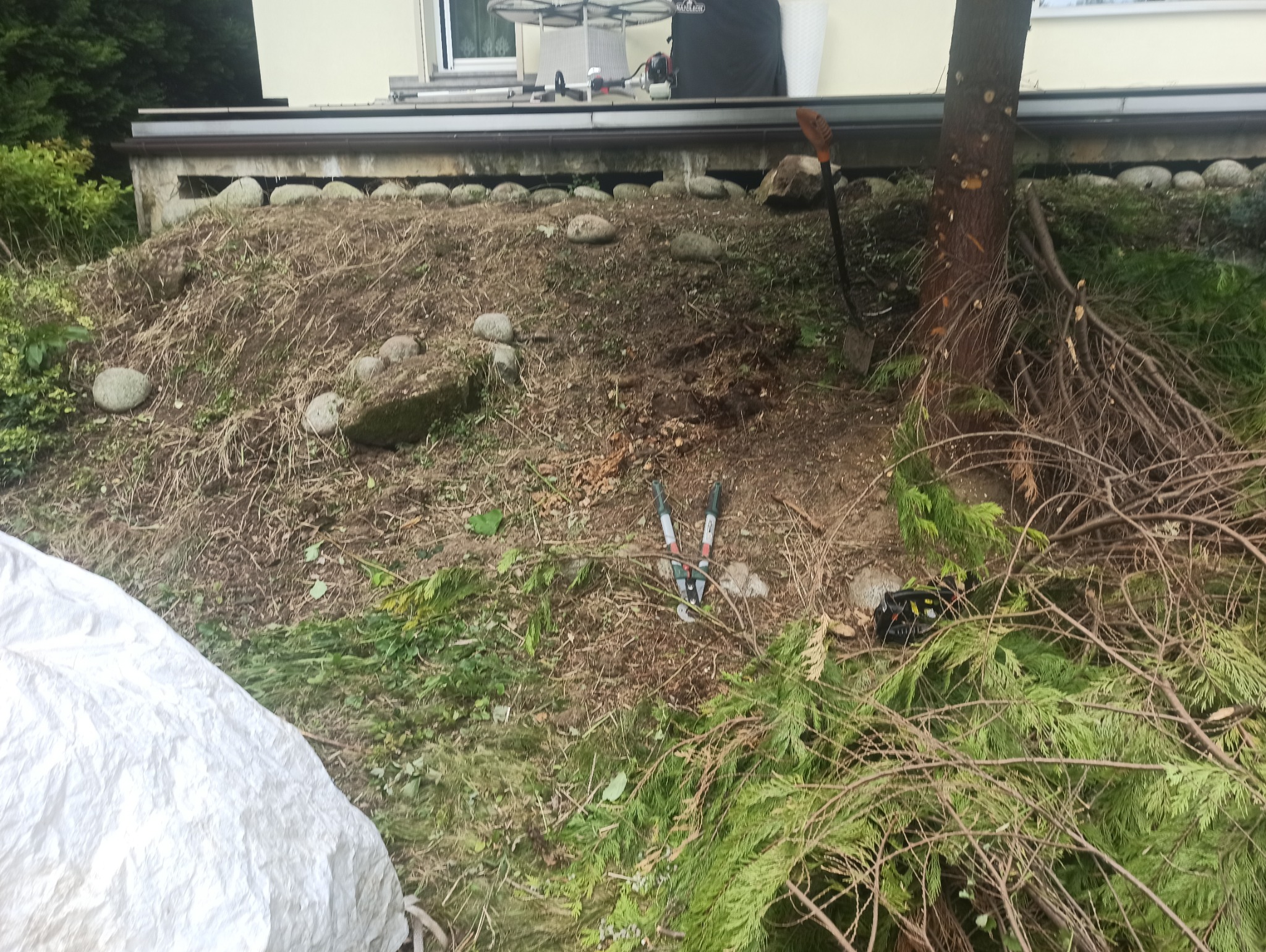 Teren po wycince drzewa z narzędziami: szpadel, sekator i torba. W tle budynek z białym workiem. Widoczne gałęzie i pień ściętego drzewa.