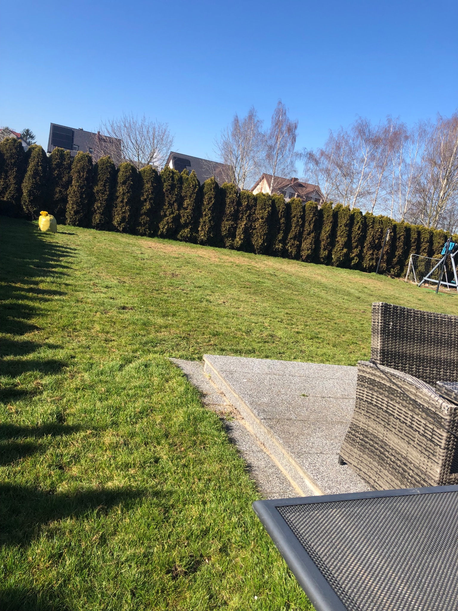 Uporządkowany ogród z równo przyciętym żywopłotem z tui, widoczny worek z odpadami ogrodowymi na trawniku, w tle domy jednorodzinne i błękitne niebo, w kadrze fragment mebli ogrodowych.