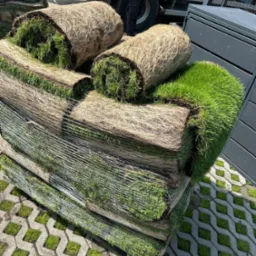 Paleta z rolkami trawy z widoczną strukturą korzeni, przygotowana do rozłożenia na nawierzchni z ażurowych płyt betonowych.