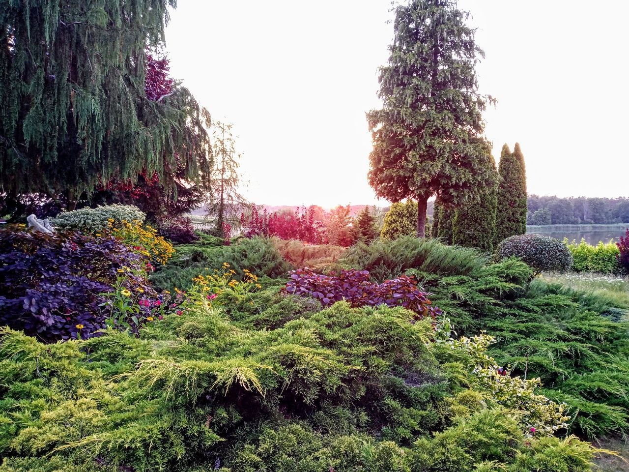 Pielęgnacja ogrodów