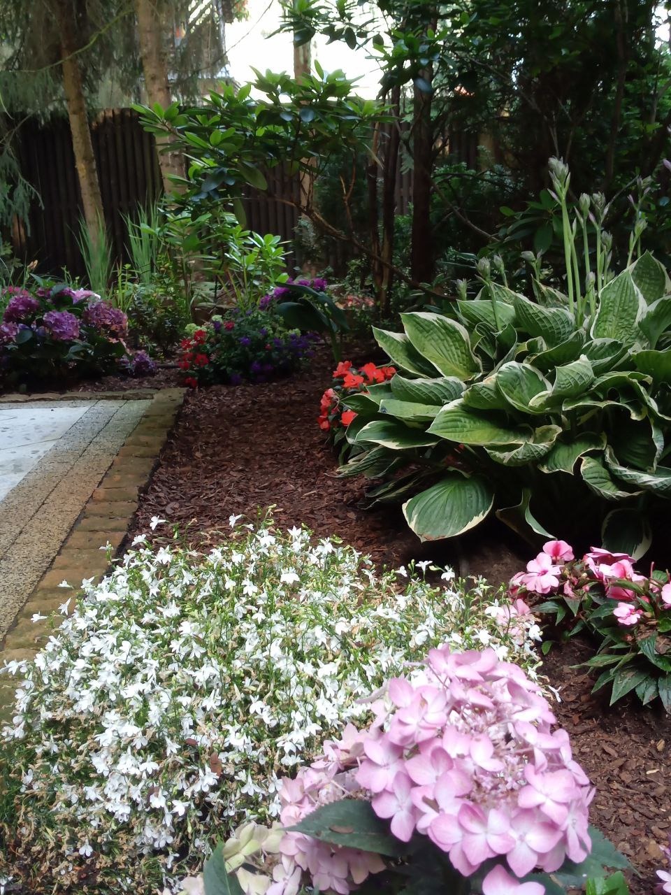 Dobór roślin do warunków, czasami ciężkich i wymagających